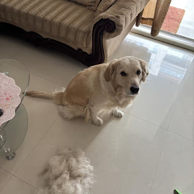 Customer photo